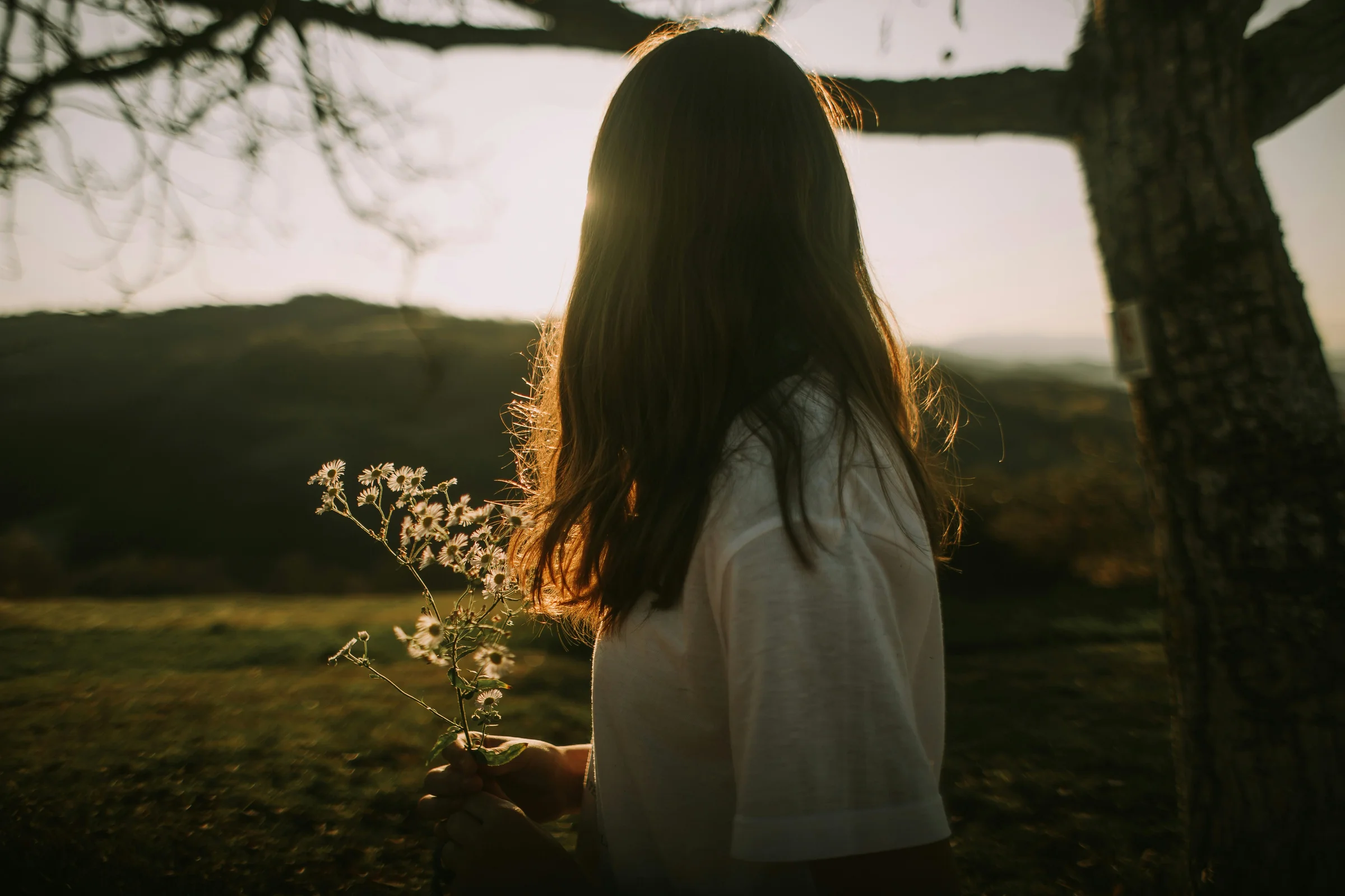 roxana-zerni-DrqEIG9Fmxs-unsplash.webp