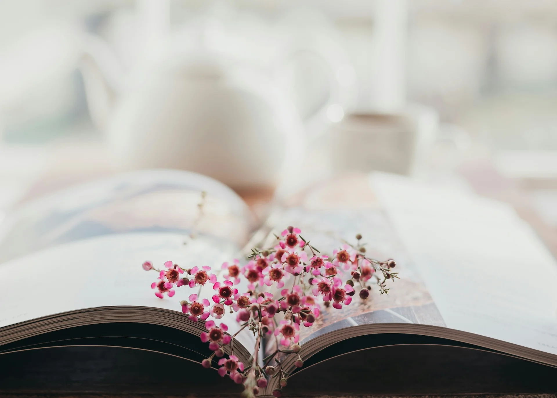 sixteen-miles-out-_HZCllIuXlU-unsplash.webp