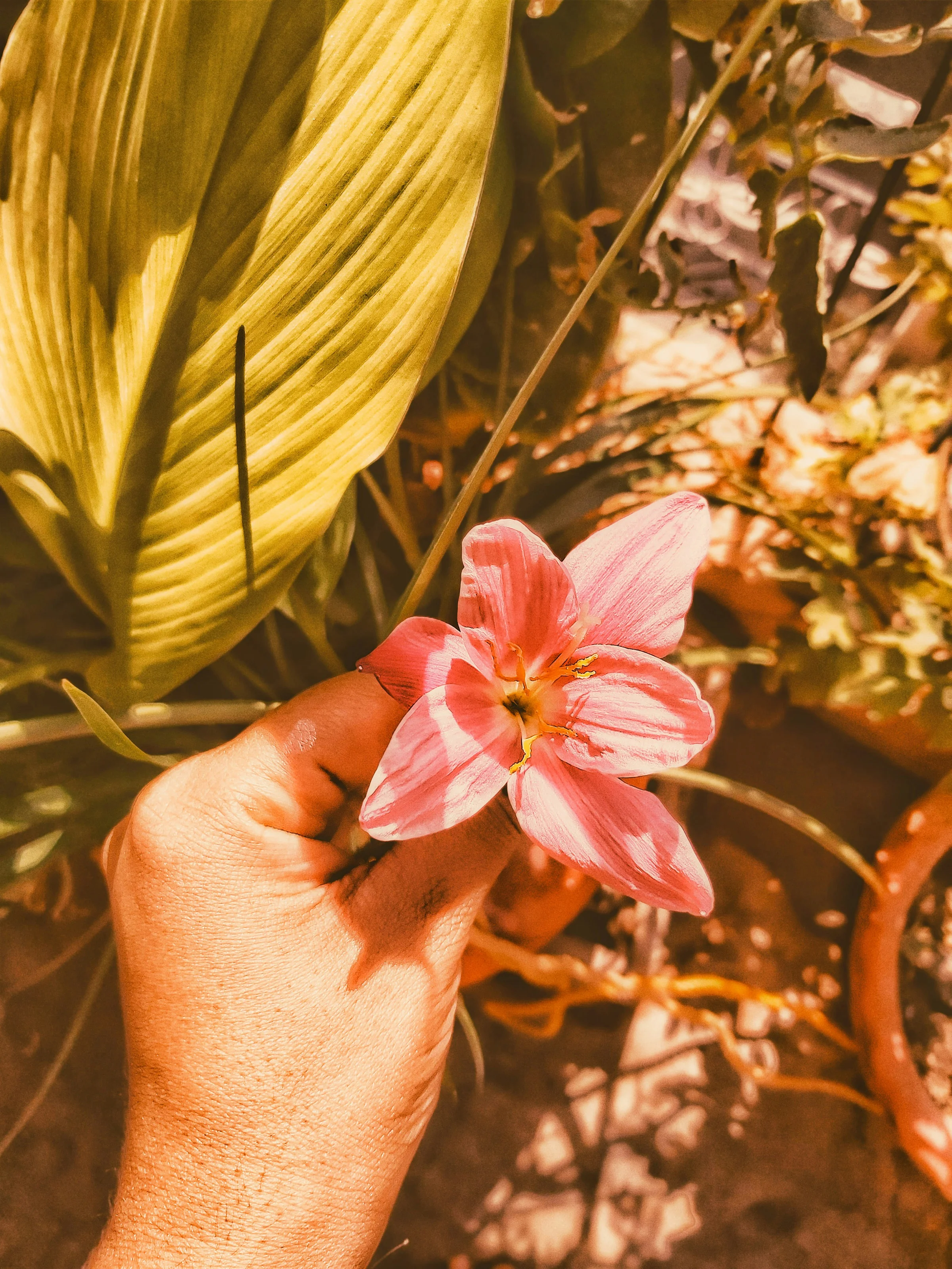 tanya-shrivastava-kSBEds5O7nI-unsplash.webp