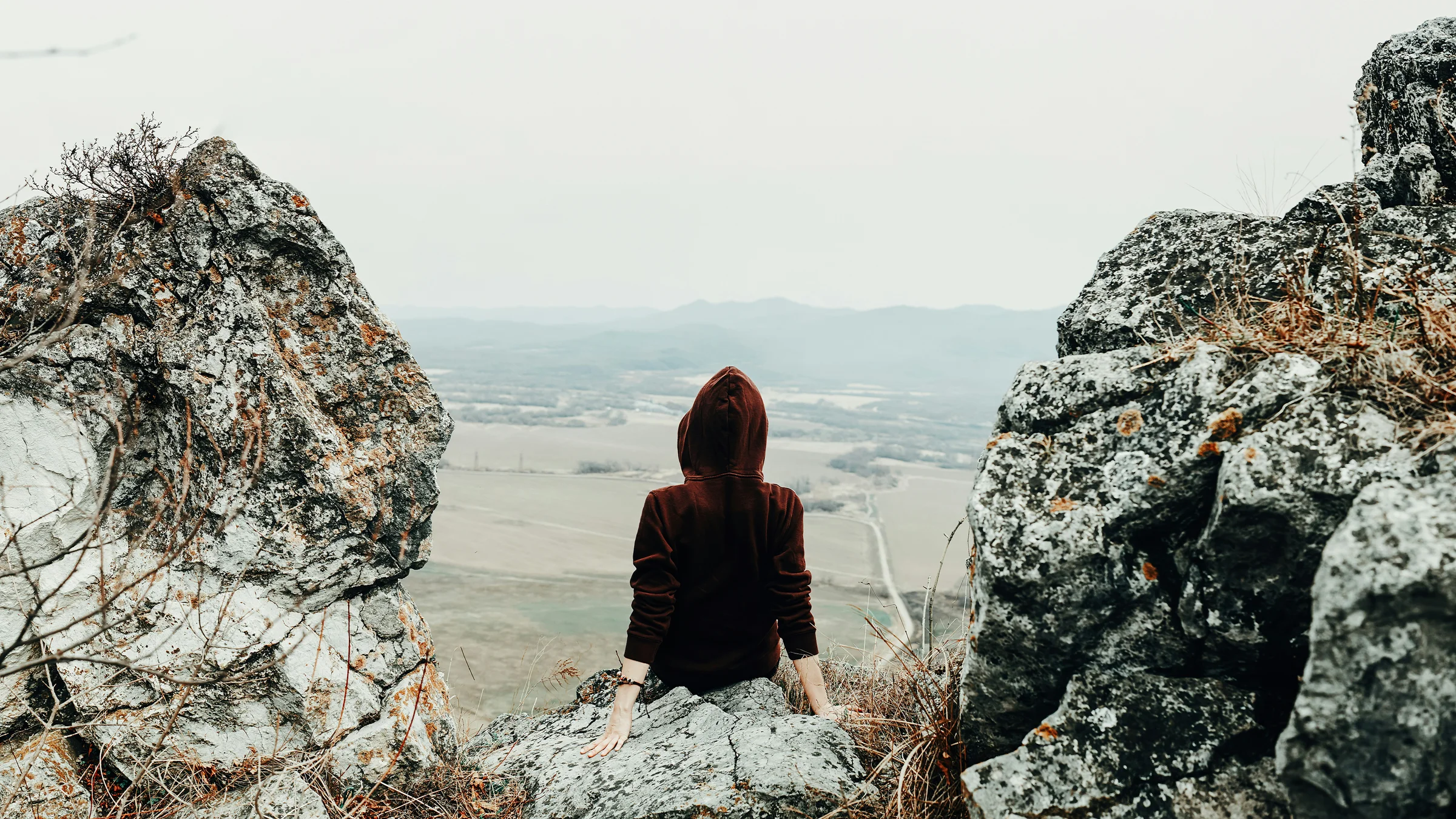 tengyart-5n5Ijby9Z0o-unsplash.webp