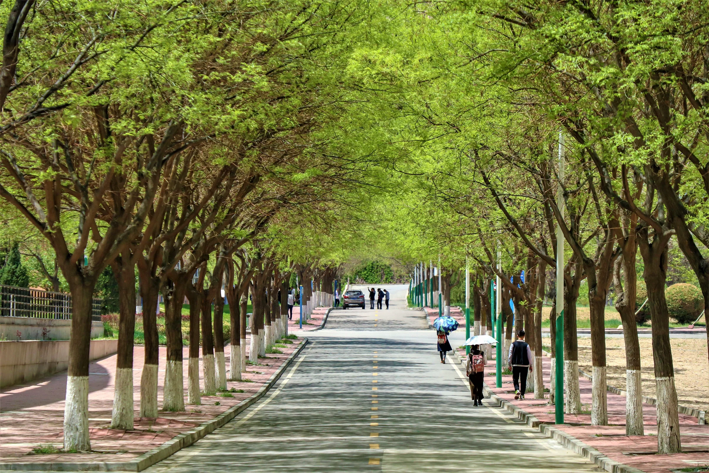zane_swaydan-road-3396764.webp